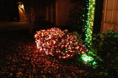 Snow 1