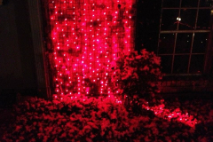 Snow 2