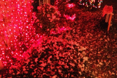 Snow 3