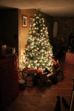 Christmas Tree 4
