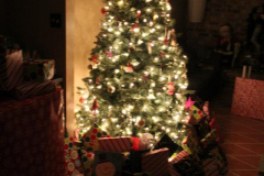 Christmas Tree 4