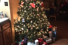 Christmas Tree 1
