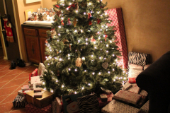 Christmas Tree 5