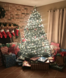 Christmas Tree 11