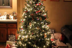 Christmas Tree 6