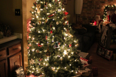 Christmas Tree 7
