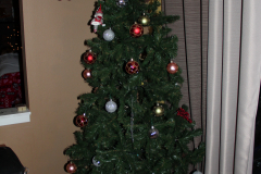 Christmas Tree 2