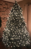 Christmas Tree 10