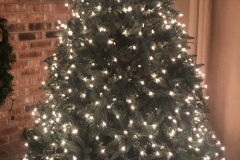 Christmas Tree 10
