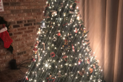 Christmas Tree 12