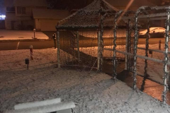 Real Snow