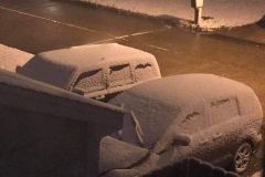 Real Snow
