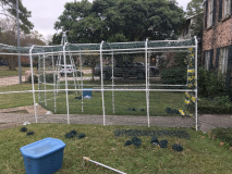 The Tunnel of Christmas