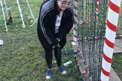 Hayley Wiring