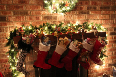 Indoor_Decorations-13