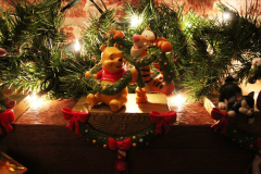 Indoor_Decorations-15