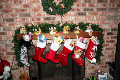 Indoor_Decorations-8