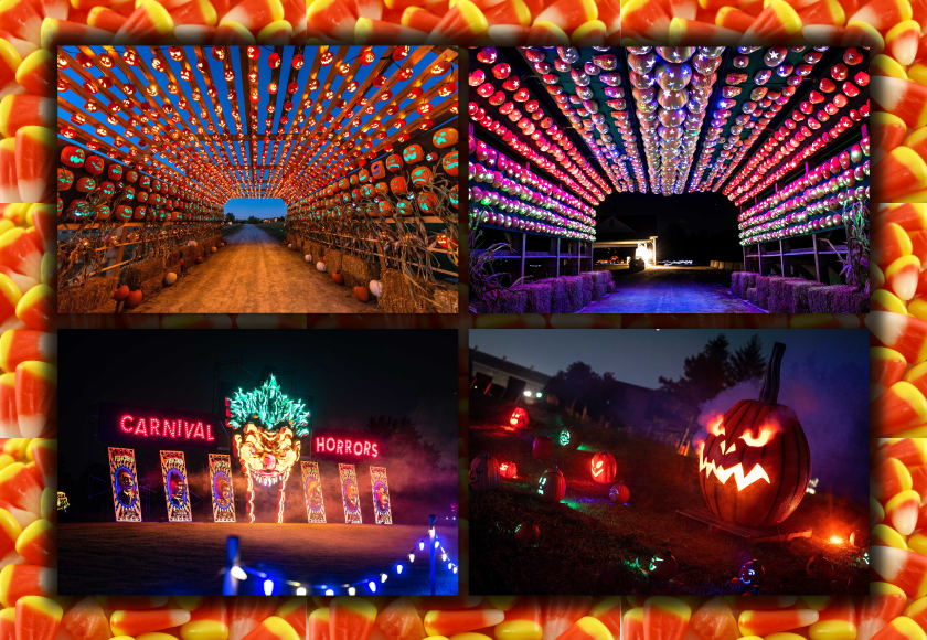 Thousands of pumpkins await you!