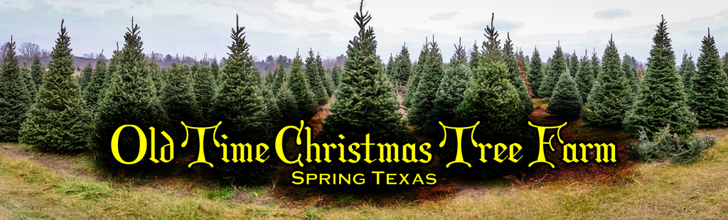 Old Time Christmas Tree Farm