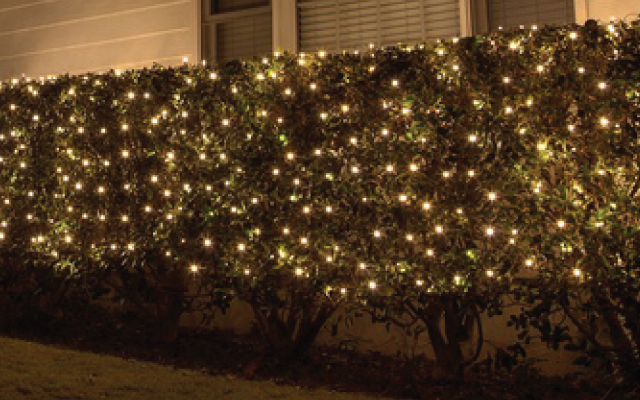 Net Lights