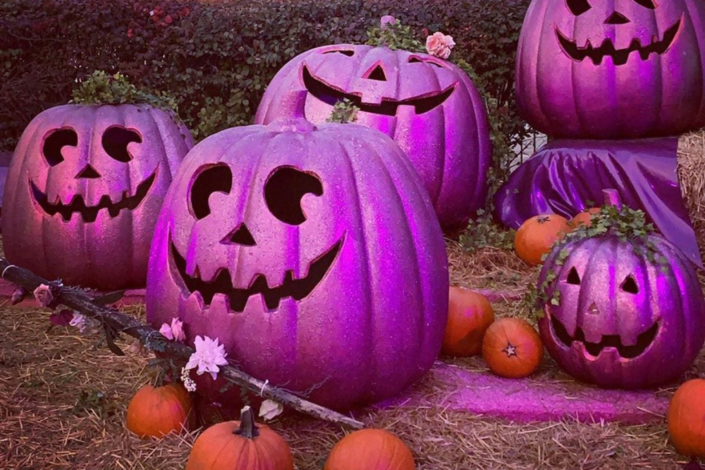 Purple Pumpkin Project